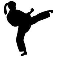advanced-karate-grading-seminar-red-deer
